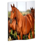 1″ x 48″ x 72″ Multi Color Wood Canvas Horse  Screen