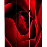 1 x 48 x 72 Multi Color Wood Canvas Rose  Screen