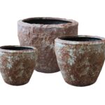 274805_2_6ca965d0-6270-416a-8e53-fd5a888f336d