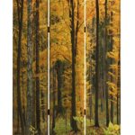 1 x 48 x 72 Multi Color Wood Canvas Autumn Journey  Screen