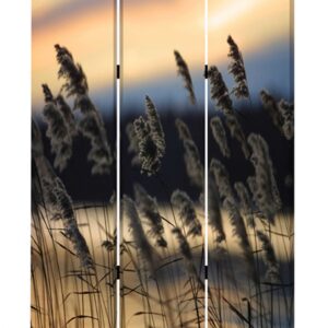 1 x 48 x 72 Multi Color Wood Canvas Rose  Screen
