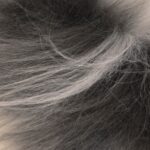 294264_2_603fd210-f8c9-477e-83d0-6a5c1d416a54