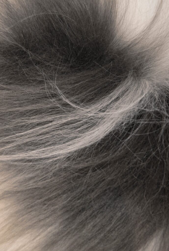 294264_2_603fd210-f8c9-477e-83d0-6a5c1d416a54