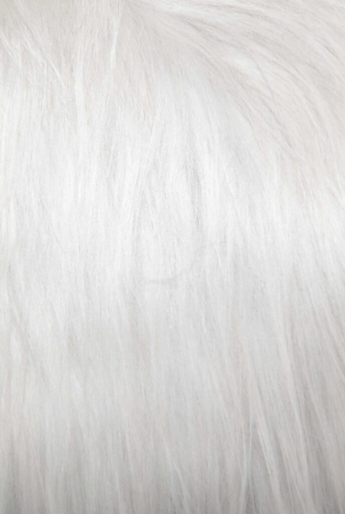 294265_2_61188d37-e116-481a-9a37-f6b9ffd8a84c