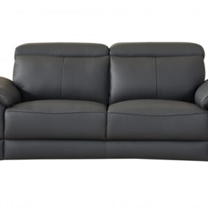 29to 38" Modern Beige Leather Loveseat