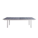 Two In One Dining and Ping Pong Table