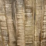 387693_1_2f3873cd-04f6-4752-bf7c-c824b1392311