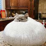 397178_2_12c9570f-f72c-4539-b227-e1478ad21878