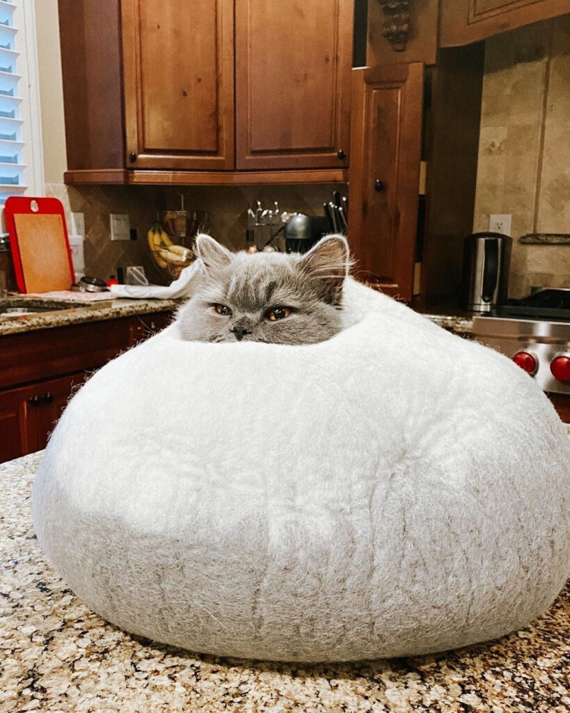 397178_2_12c9570f-f72c-4539-b227-e1478ad21878