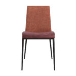 Set of Two Brown and Rust Stainless Steel Chairs