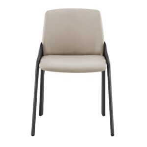 Brown Leather and Iron Side Chair
