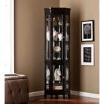Elegant Black Lighted Curio Cabinet