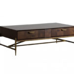 Modern Dark Mango Acacia and Brass Coffee Table